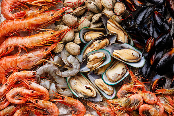 Fresh prawns, clams and mussels on ice at a seafood counter